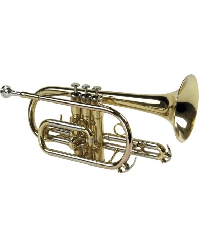 SML PARIS CO50 Sib - Cornet SML PARIS CO50 Sib - Cornet