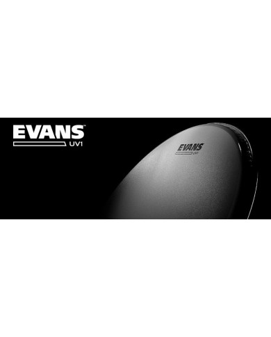 EVANS B14UV1 uv1 14" Coated Peau batterie EVANS B14UV1 uv1 14" Coated Peau batterie