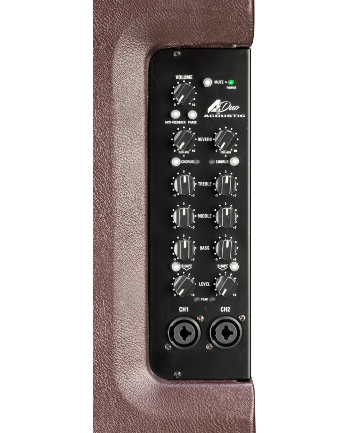 LANEY - A-DUO - AMPLI GUITARE ACOUSTIQUE - 60W / 2X8" - 2 CANAUX