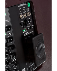 LANEY - A-FRESCO - AMPLI GUITARE ACOUSTIQUE - 30W / 1X8" - PLUS ACCU