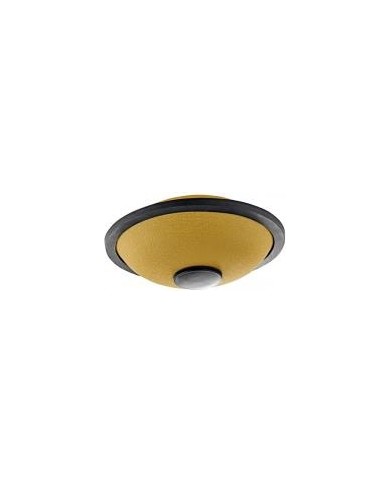 MEINL - MSTD3G - MINI HANDPAN SONIC ENERGY - SI MAJEUR - OR MEINL - MSTD3G - MINI HANDPAN SONIC ENERGY - SI MAJEUR - OR