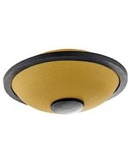 MEINL - MSTD3G - MINI HANDPAN SONIC ENERGY - SI MAJEUR - OR MEINL - MSTD3G - MINI HANDPAN SONIC ENERGY - SI MAJEUR - OR