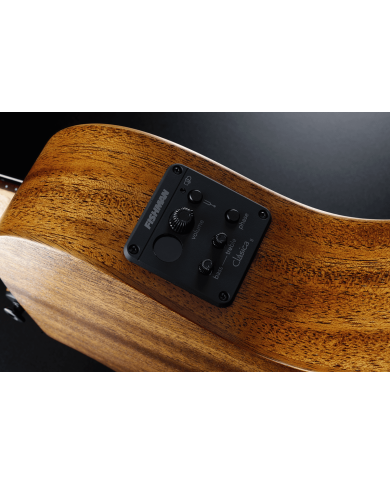 LAG - TN170ASCE - GUITARE CLASSIQUE ELECTRO-ACOUSTIQUE