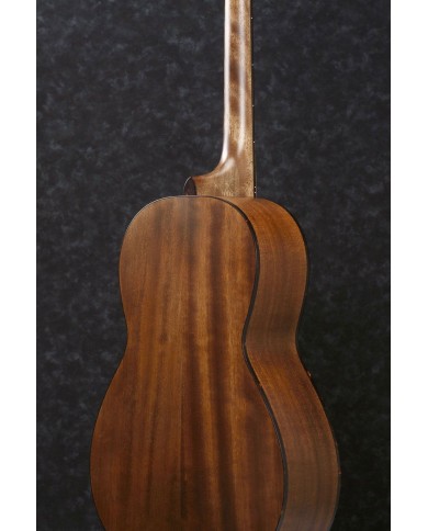 IBANEZ - AVN9OPN - GUITARE FOLK - ARTWOOD - PORES OUVERTS IBANEZ - AVN9OPN - GUITARE FOLK - ARTWOOD - PORES OUVERTS