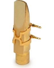 D'ADDARIO - HTS2G - LIGATURE H ET COUVRE BEC SAXOPHONE TENOR - RICO SIGNATURE - BECS EN METAL - DOREE