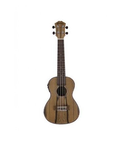 ALABAMA - FZU-DA20CCEWD - UKULELE CONCERT DAO ELECTRO