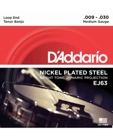 D'ADDARIO EJ63 Banjo ténor 4 cordes